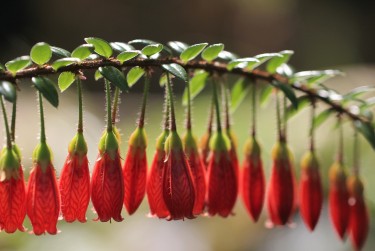 珠海斗门区3私人快速借钱网，轻松解决资金难题