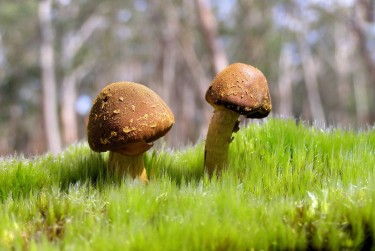 珠海斗门区3私人老板放款：轻松融资的秘密通道